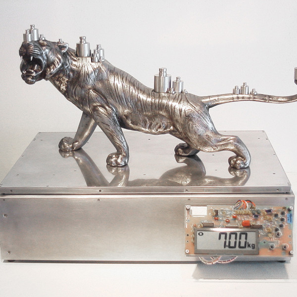 7kg TIGER